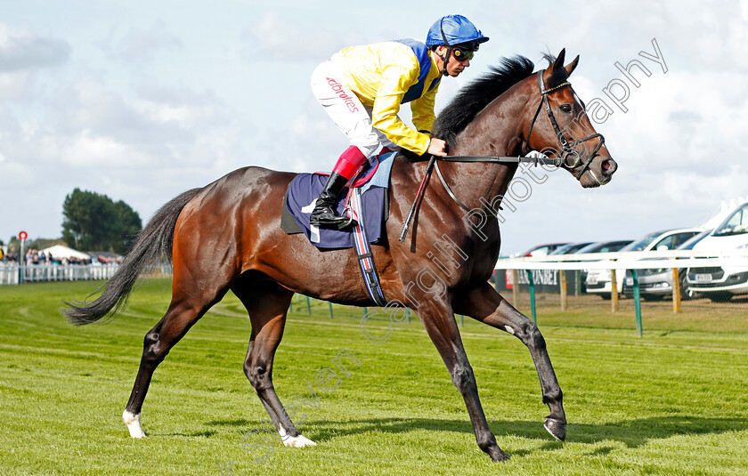 El-Misk-0002 
 EL MISK (Frankie Dettori)
Yarmouth 17 Sep 2019 - Pic Steven Cargill / Racingfotos.com