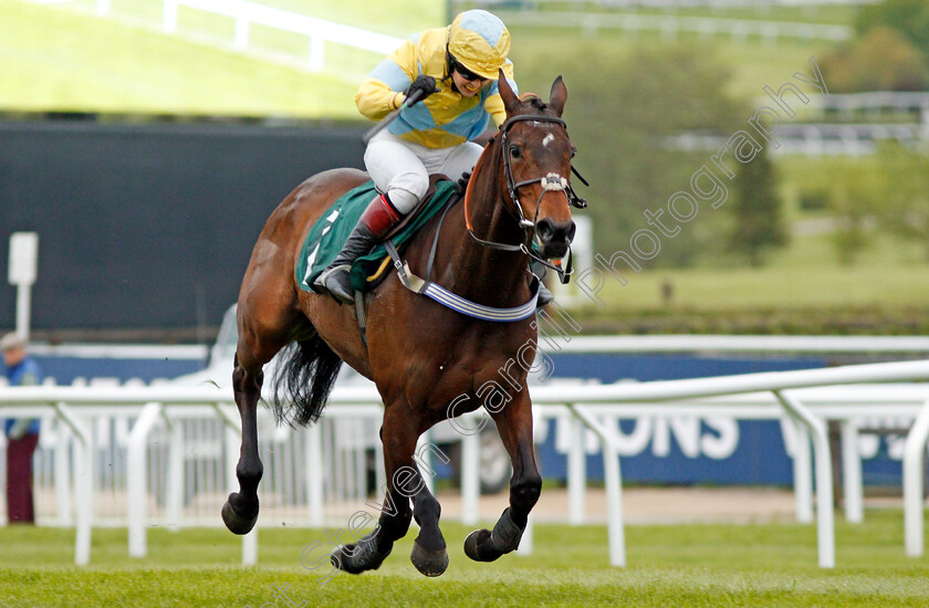 Popaway-0007 
 POPAWAY (Immy Robinson) wins The Visit cheltenham.com Mares Open Hunters Chase Cheltenham 4 May 2018 - Pic Steven Cargill / Racingfotos.com