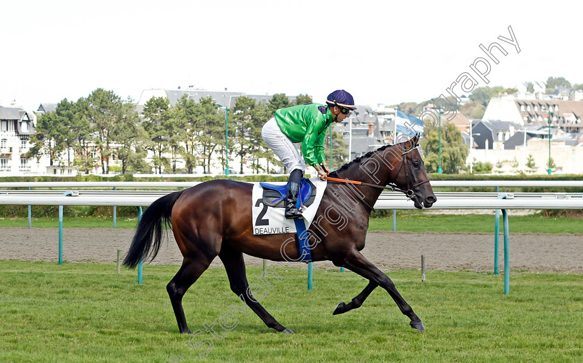 French-Defense-0001 
 FRENCH DEFENSE (C Demuro)
Deauville 12 Aug 2023 - Pic Steven Cargill / Racingfotos.com