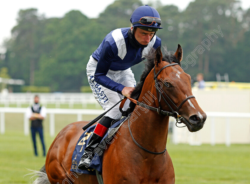 Instinctive-Move-0001 
 INSTINCTIVE MOVE (Adam Kirby)
Ascot 17 Jun 2021 - Pic Steven Cargill / Racingfotos.com