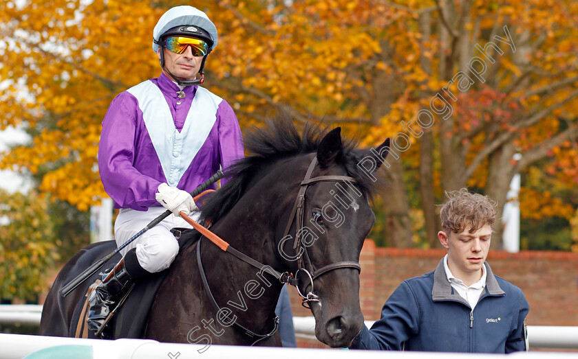 Tom-Collins-0002 
 TOM COLLINS (Gerald Mosse) before The Coates & Seely Blanc De Blancs Novice Stakes Div2
Newmarket 23 Oct 2019 - Pic Steven Cargill / Racingfotos.com