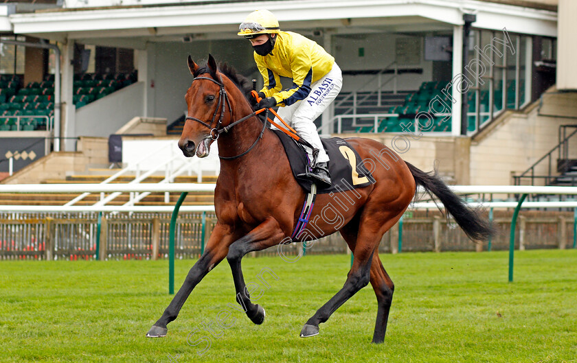 Beowulf-0001 
 BEOWULF (Pat Cosgrave)
Newmarket 21 Oct 2020 - Pic Steven Cargill / Racingfotos.com