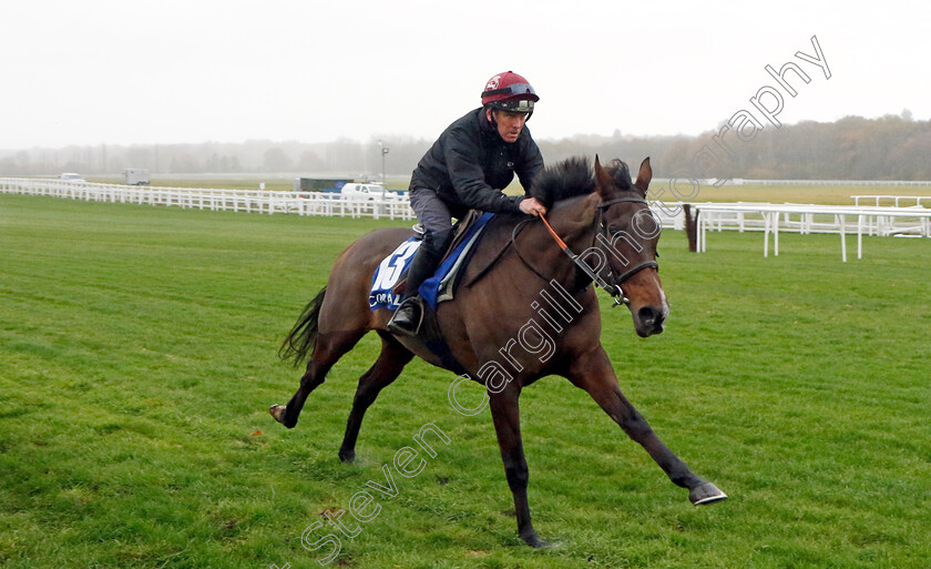 Paisley-Park-0002 
 PAISLEY PARK (Barry Fenton) 
Coral Gold Cup Gallops Morning
Newbury 21 Nov 2023 - Pic Steven Cargill / Racingfotos.com