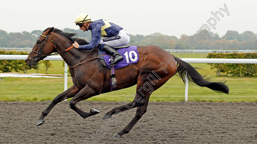 Ply-0006 
 PLY (Harry Bentley) wins The Winners Are Welcome At Matchbook Handicap Kempton 25 Sep 2017 - Pic Steven Cargill / Racingfotos.com