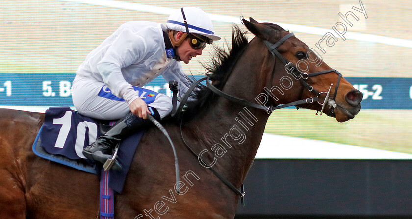 One-Night-Stand-0005 
 ONE NIGHT STAND (Kieran O'Neill) wins The Build The Acca With Betuk Handicap
Lingfield 20 Jan 2024 - Pic Steven Cargill / Racingfotos.com