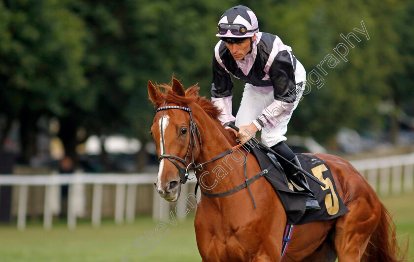 Bulleit-0003 
 BULLEIT (Kieran Shoemark)
Newmarket 22 Jul 2022 - Pic Steven Cargill / Racingfotos.com