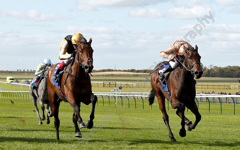 Highgarden-0003 
 HIGHGARDEN (left, Frankie Dettori) beats MRS SIPPY (right) in The Princess Royal Nayef Stakes
Newmarket 28 Sep 2018 - Pic Steven Cargill / Racingfotos.com