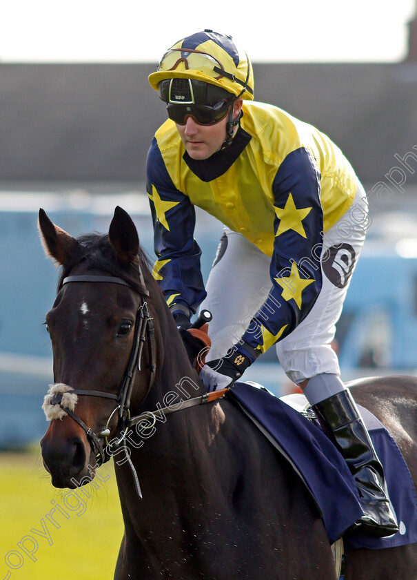 Political-Approach-0001 
 POLITICAL APPROACH (Tom Queally)
Yarmouth 20 Oct 2020 - Pic Steven Cargill / Racingfotos.com