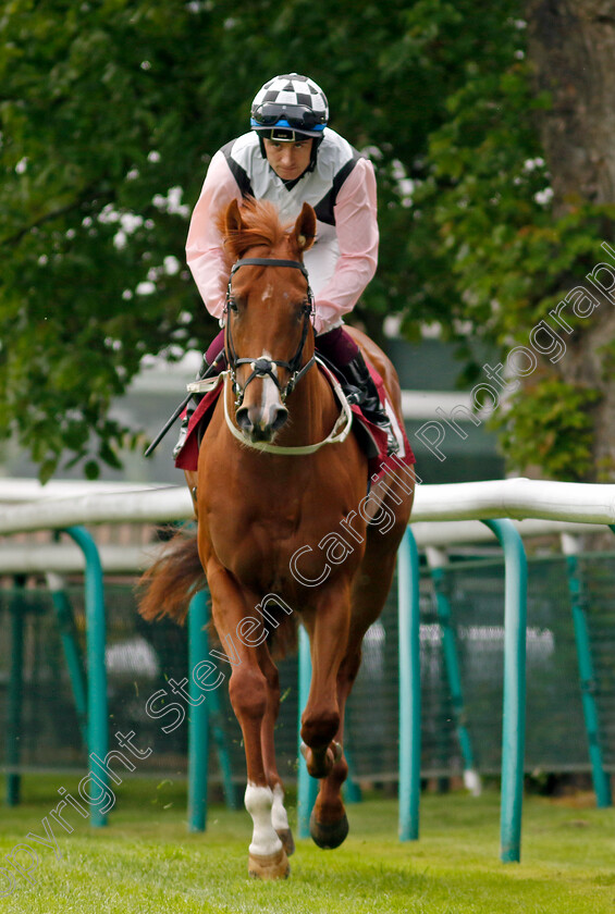 Beauty-Inspire-0001 
 BEAUTY INSPIRE (Mark Enright)
Haydock 21 May 2022 - Pic Steven Cargill / Racingfotos.com