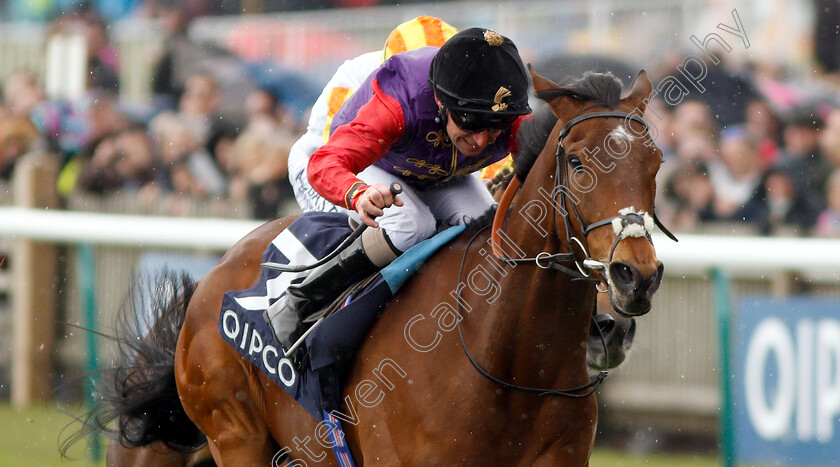 Elector-0004 
 ELECTOR (Joe Fanning) wins The Spring Lodge Handicap
Newmarket 4 May 2019 - Pic Steven Cargill / Racingfotos.com