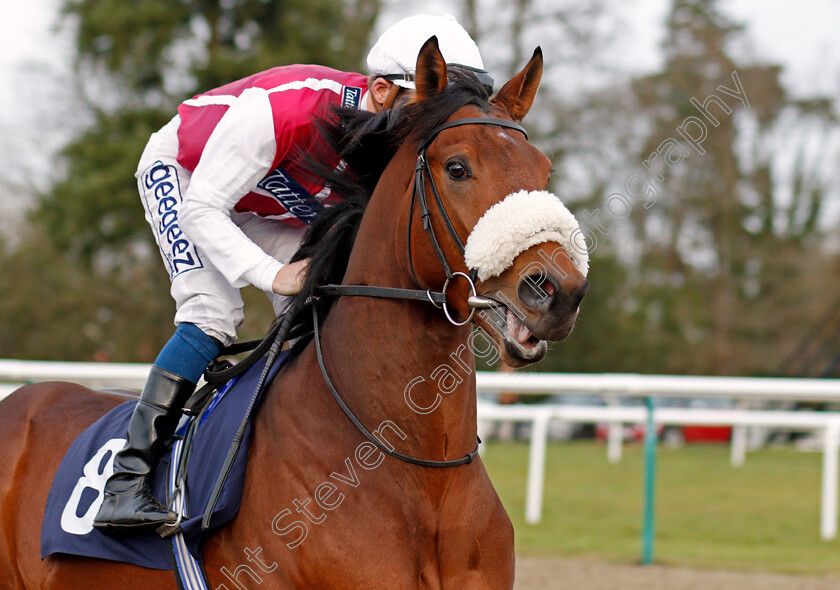 Superior-Moment-0001 
 SUPERIOR MOMENT (David Probert)
Lingfield 18 Dec 2019 - Pic Steven Cargill / Racingfotos.com