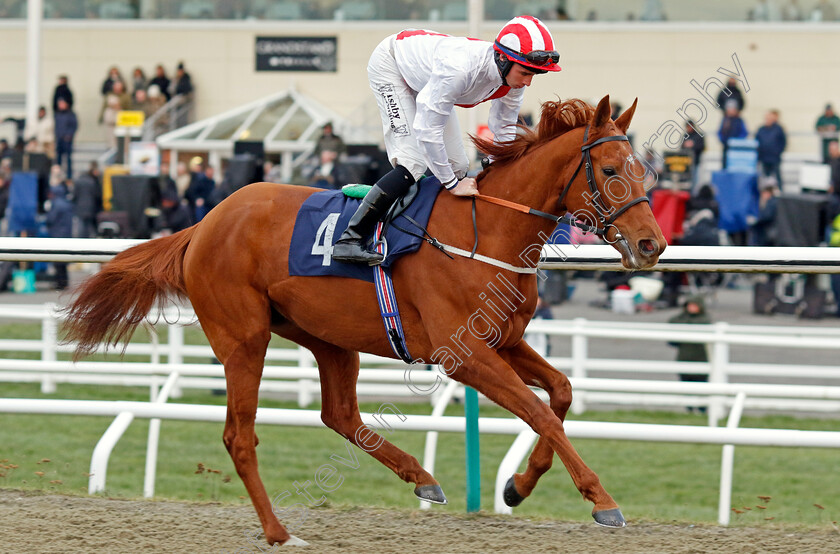 Behind-The-Scenes-0001 
 BEHIND THE SCENES (Rossa Ryan)
Lingfield 20 Jan 2024 - Pic Steven Cargill / Racingfotos.com