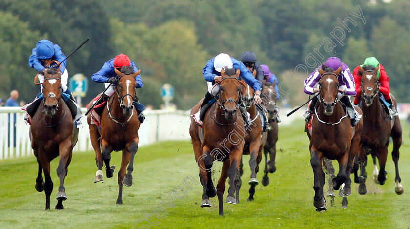 Old-Persian-0003 
 OLD PERSIAN (centre, James Doyle) beats CROSS COUNTER (left) and KEW GARDENS (right) in The Sky Bet Great Voltigeur Stakes
York 22 Aug 2018 - Pic Steven Cargill / Racingfotos.com