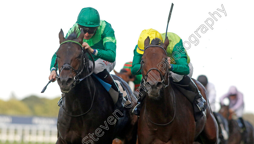 Metal-Merchant-0001 
 METAL MERCHANT (right, Rossa Ryan) beats JEFF KOONS (left) in The Racing Welfare Classified Stakes
Ascot 6 Oct 2023 - Pic Steven Cargill / Racingfotos.com