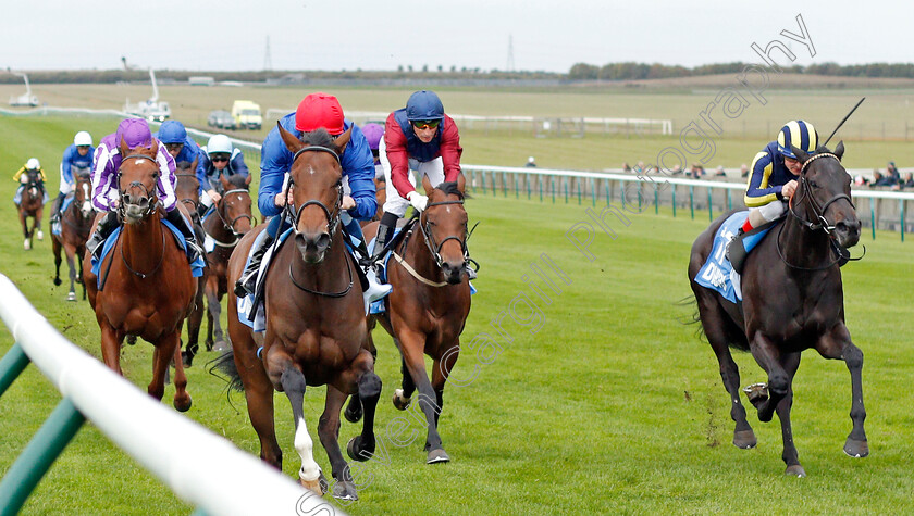 Spring-Of-Love-0001 
 SPRING OF LOVE (left, William Buick) beats WALIYAK (right) in The Godolphin Under Starters Orders Maiden Fillies Stakes
Newmarket 11 Oct 2019 - Pic Steven Cargill / Racingfotos.com