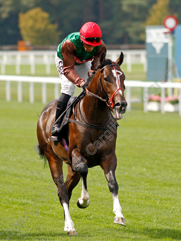 Call-Time-0002 
 CALL TIME (Sean Levey)
Ascot 8 Sep 2023 - Pic Steven Cargill / Racingfotos.com