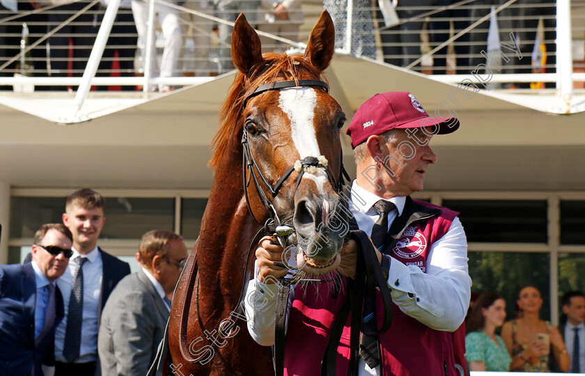 Kyprios-0009 
 KYPRIOS winner of The Al Shaqab Goodwood Cup
Goodwood 30 Jul 2024 - Pic Steven Cargill / racingfotos.com