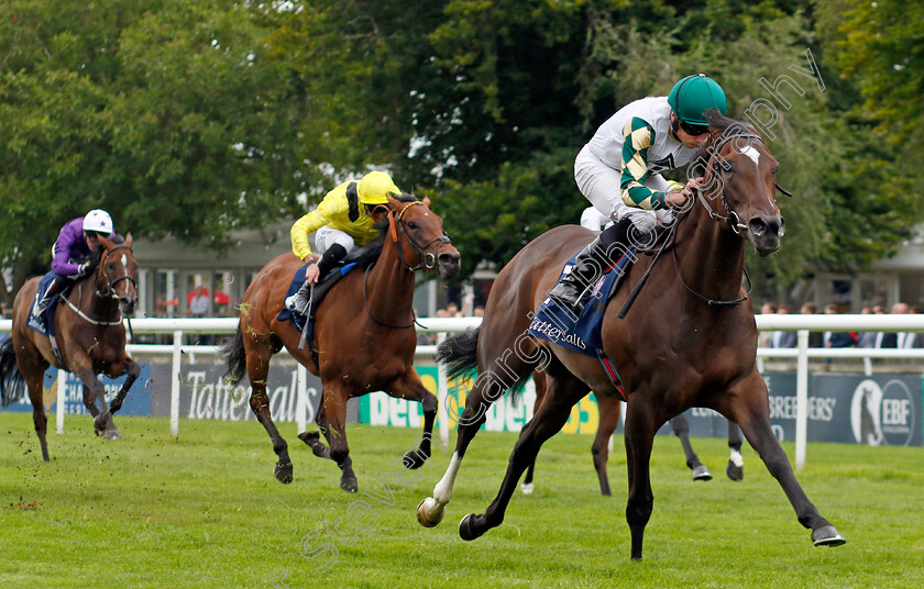 Porta-Fortuna-0006 
 PORTA FORTUNA (Ryan Moore) wins The Tattersalls Falmouth Stakes
Newmarket 12 Jul 2024 - pic Steven Cargill / Racingfotos.com