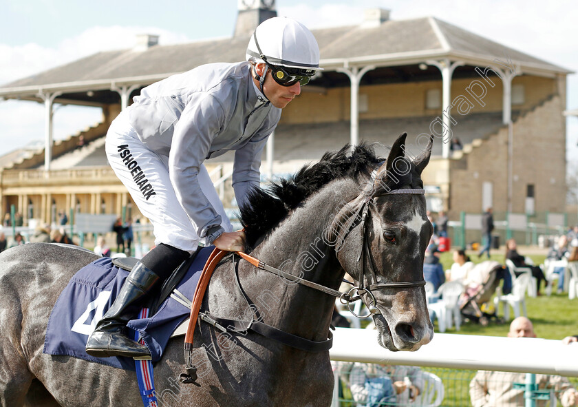 Bill-Silvers-0001 
 BILL SILVERS (Kieran Shoemark)
Doncaster 2 Apr 2023 - Pic Steven Cargill / Racingfotos.com