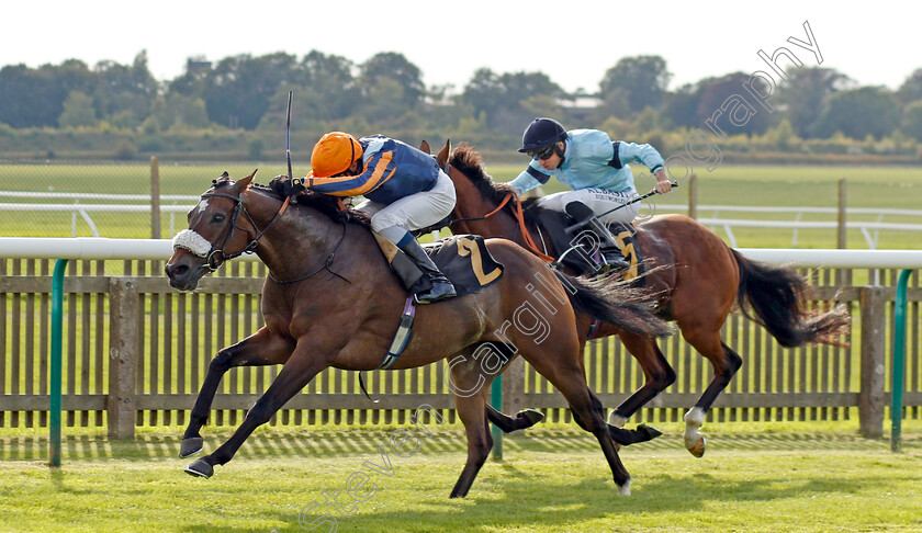 Nate-The-Great-0002 
 NATE THE GREAT (William Buick) wins The Jockey Club Rose Bowl Stakes
Newmarket 22 Sep 2022 - Pic Steven Cargill / Racingfotos.com