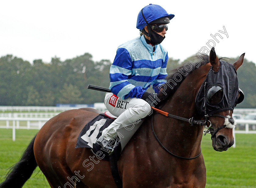 Tulfarris-0001 
 TULFARRIS (Hayley Turner)
Ascot 2 Oct 2020 - PIc Steven Cargill / Racingfotos.com