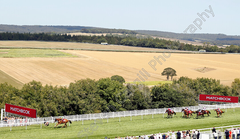 Lil-Rockerfeller-0003 
 LIL ROCKERFELLER (Silvestre De Sousa) wins The Matchbook Betting Podcast Goodwood Handicap
Goodwood 1 Aug 2018 - Pic Steven Cargill / Racingfotos.com