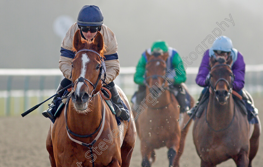 Going-Places-0010 
 GOING PLACES (Hollie Doyle) wins The Bombardier March To Your Own Drum Novice Stakes
Lingfield 9 Jan 2021 - Pic Steven Cargill / Racingfotos.com