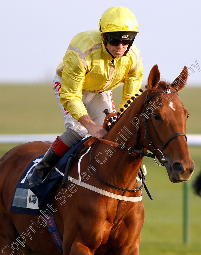 Summer-Moon-0001 
 SUMMER MOON (Franny Norton)
Newmarket 24 Oct 2018 - Pic Steven Cargill / Racingfotos.com