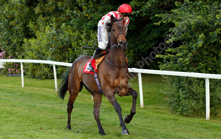 Maiden-Castle-0001 
 MAIDEN CASTLE (David Probert)
Sandown 30 May 2019 - Pic Steven Cargill / Racingfotos.com