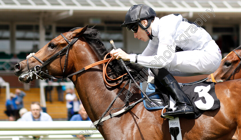 Confiding-0006 
 CONFIDING (Callum Shepherd) wins The Be Wiser Insurance Novice Stakes
Newbury 14 Jun 2018 - Pic Steven Cargill / Racingfotos.com