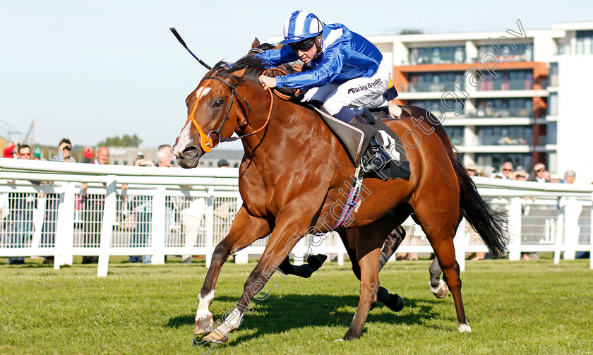 Tabarrak-0002 
 TABARRAK (Jim Crowley) wins The Dubai Duty Free Cup Stakes
Newbury 20 Sep 2019 - Pic Steven Cargill / Racingfotos.com