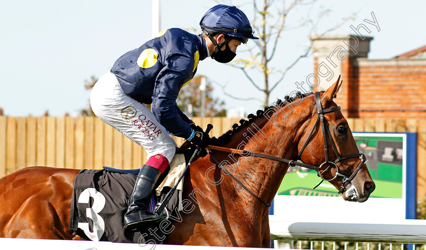 Knight-Salute-0001 
 KNIGHT SALUTE (Oisin Murphy)
Newbury 18 Sep 20 - Pic Steven Cargill / Racingfotos.com