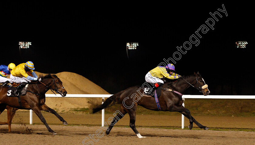 Double-Reflection-0001 
 DOUBLE REFLECTION (Josephine Gordon)
Chelmsford 26 Nov 2020 - Pic Steven Cargill / Racingfotos.com