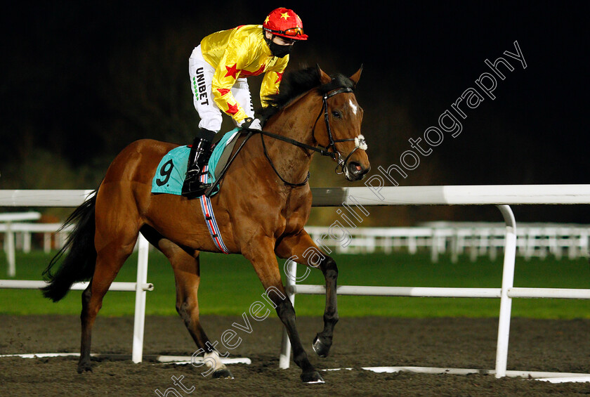 Sagrada-Familia-0001 
 SAGRADA FAMILIA (Jamie Spencer)
Kempton 2 Dec 2020 - Pic Steven Cargill / Racingfotos.com