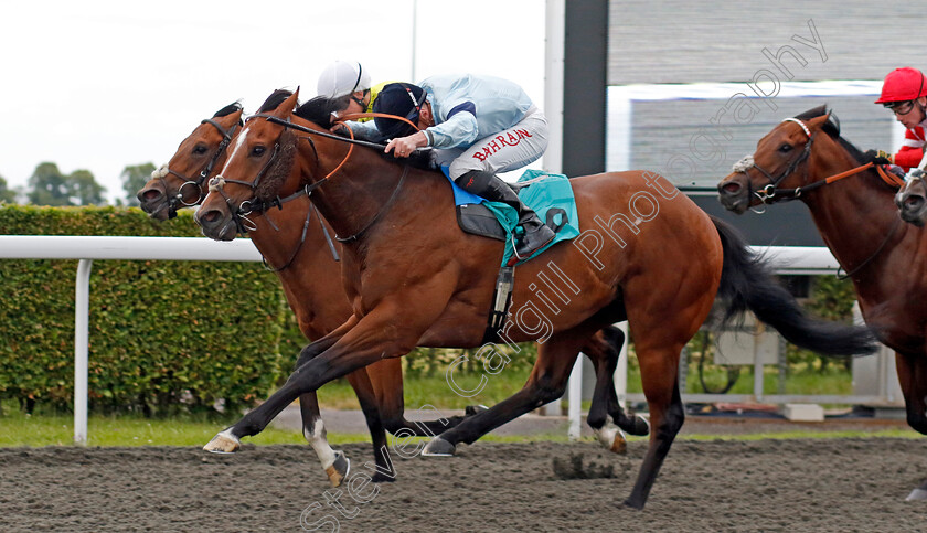 Drama-0004 
 DRAMA (Tom Marquand) wins The Unibet More Boosts In More Races Handicap
Kempton 12 Jun 2024 - Pic Steven Cargill / Racingfotos.com