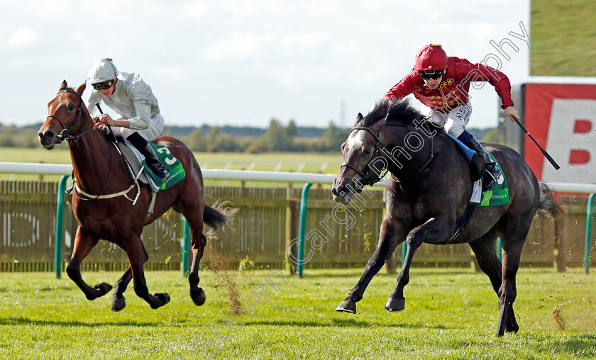 Roaring-Lion-0004 
 ROARING LION (right, Oisin Murphy) wins The Juddmonte Royal Lodge Stakes Newmarket 30 Sep 2017 - Pic Steven Cargill / Racingfotos.com