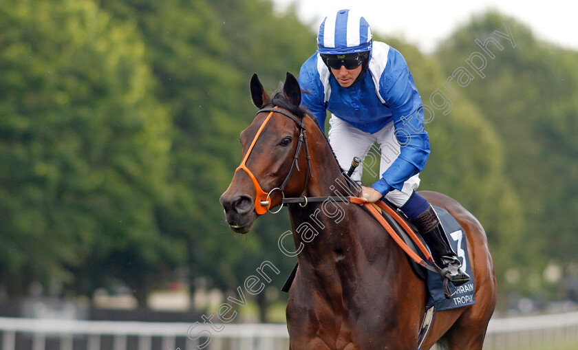 Mandoob-0001 
 MANDOOB (Jim Crowley)
Newmarket 8 Jul21 - Pic Steven Cargill / Racingfotos.com