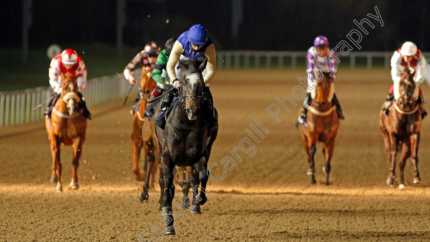 Album-0005 
 ALBUM (Richard Kingscote) wins The Play 4 To Score At Betway Handicap
Wolverhampton 4 Jan 2021 - Pic Steven Cargill / Racingfotos.com