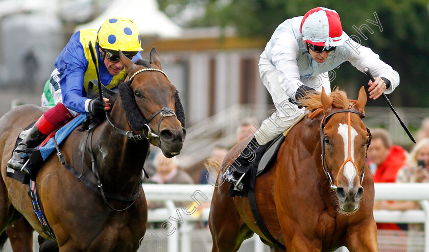 Lawful-Command-0006 
 LAWFUL COMMAND (right, Louis Steward) beats SPINAROUND (left) in The Goodwood Racecourse Patrons Handicap
Goodwood 20 May 2022 - Pic Steven Cargill / Racingfotos.com