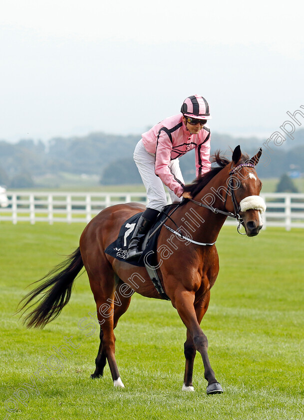 She s-Quality-0001 
 SHE'S QUALITY (Ronan Whelan)
The Curragh 10 Sep 2023 - Pic Steven Cargill / Racingfotos.com