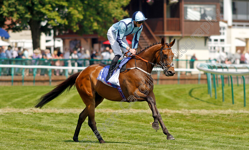 Get-Shirty-0001 
 GET SHIRTY (James Doyle)
Haydock 10 Jun 2023 - Pic Steven Cargill / Racingfotos.com