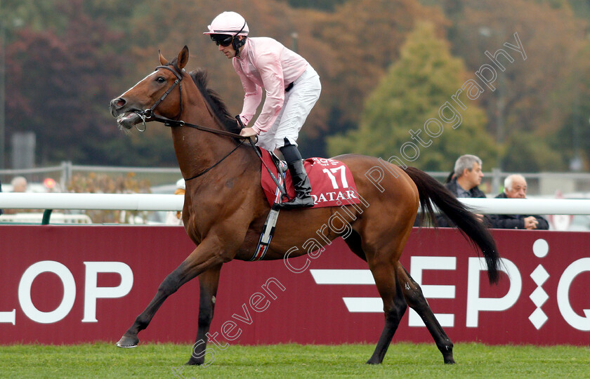 Nelson-0001 
 NELSON (Michael Hussey)
Longchamp 7 Oct 2018 - Pic Steven Cargill / Racingfotos.com