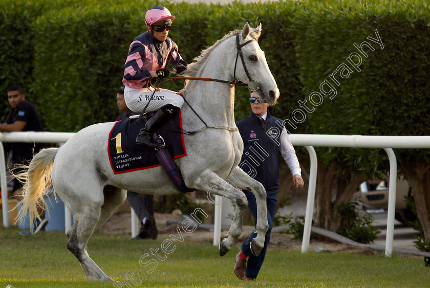 Lord-Glitters-0025 
 LORD GLITTERS (Jason Watson) goes to the start for The Bahrain International Trophy
Sakhir Racecourse, Bahrain 19 Nov 2021 - Pic Steven Cargill / Racingfotos.com