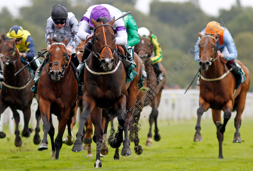 Diligently-0004 
 DILIGENTLY (Rossa Ryan) wins The Harry's Half Million By Goffs Premier Yearling Stakes
York 22 Aug 2024 - Pic Steven Cargill / Racingfotos.com