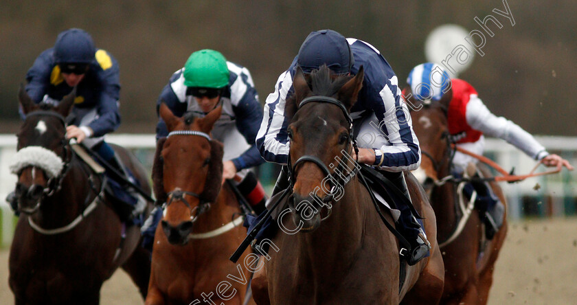 Kyllachy-Gala-0005 
 KYLLACHY GALA (Luke Morris) wins The Betway Handicap
Lingfield 2 Jan 2020 - Pic Steven Cargill / Racingfotos.com