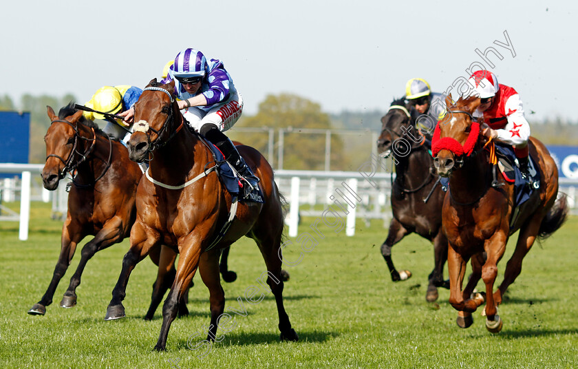 Spoof-0005 
 SPOOF (Jack Mitchell) wins The Svend Kold Memorial Handicap
Ascot 3 May 2023 - Pic Steven Cargill / Racingfotos.com