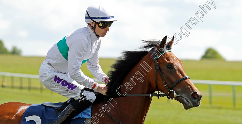 Friendly-Soul-0005 
 FRIENDLY SOUL (Kieran Shoemark) winner of The William Hill Pretty Polly Stakes
Newmarket 5 May 2024 - Pic Steven Cargill / Racingfotos.com