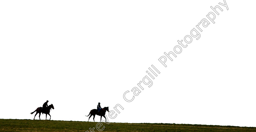 Newmarket-0003 
 A pair racehorses walk back to their stables after exercising on Warren Hill Newmarket 23 Mar 2018 - Pic Steven Cargill / Racingfotos.com