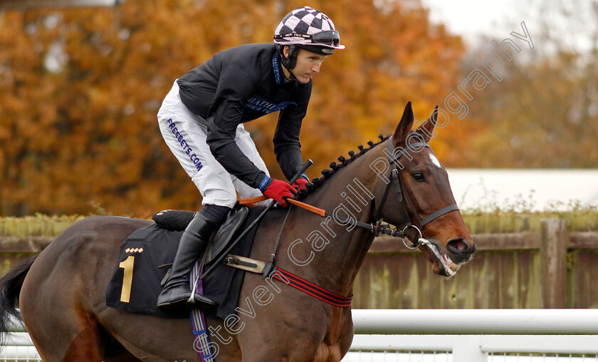 Big-Fish-0001 
 BIG FISH (Tom Bellamy)
Warwick 22 Nov 2023 - Pic Steven Cargill / Racingfotos.com