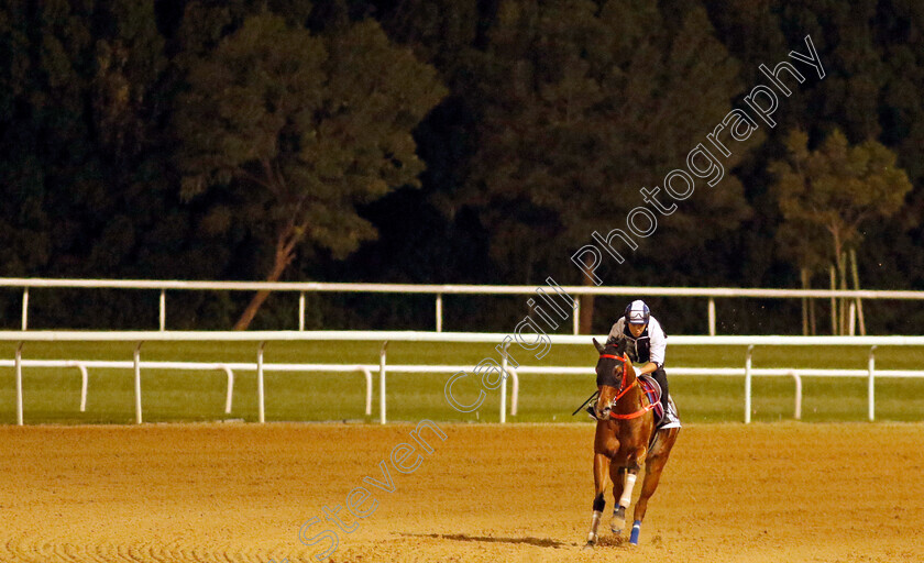 Sight-Success-0001 
 SIGHT SUCCESS training for The Al Quoz Sprint
Meydan, Dubai, 22 Mar 2023 - Pic Steven Cargill / Racingfotos.com